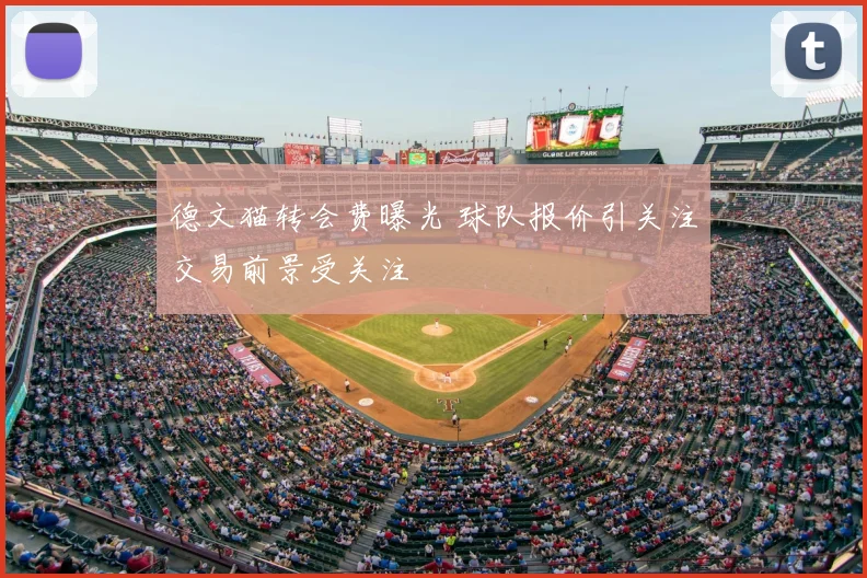 德文猫转会费曝光 球队报价引关注交易前景受关注