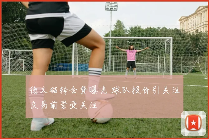 德文猫转会费曝光 球队报价引关注交易前景受关注