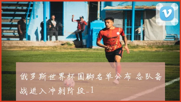 俄罗斯世界杯国脚名单公布 各队备战进入冲刺阶段_1