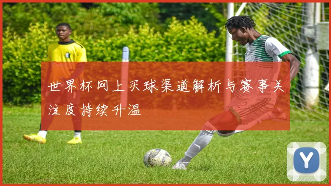 世界杯网上买球渠道解析与赛事关注度持续升温