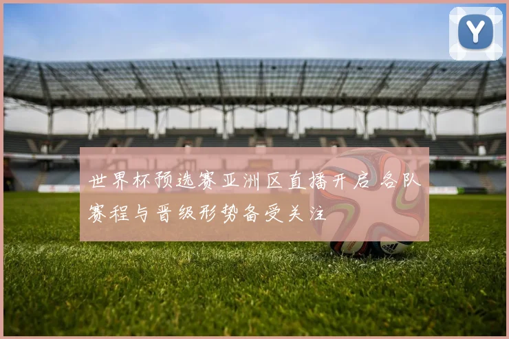 世界杯预选赛亚洲区直播开启 各队赛程与晋级形势备受关注