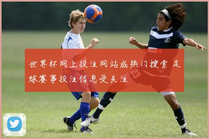 世界杯网上投注网站成热门搜索 足球赛事投注信息受关注