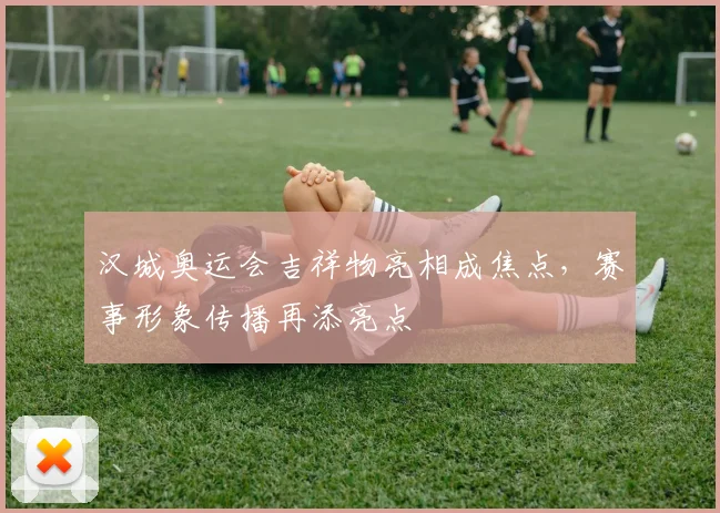 汉城奥运会吉祥物亮相成焦点，赛事形象传播再添亮点