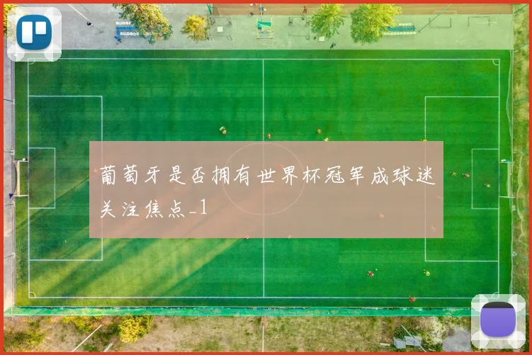 葡萄牙是否拥有世界杯冠军成球迷关注焦点_1